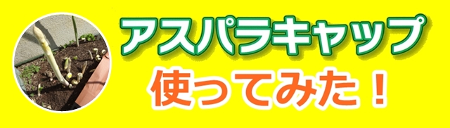 アスパラキャップ使ってみた